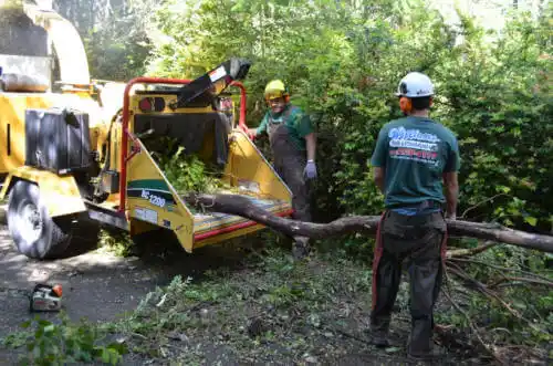 tree services Shawnee